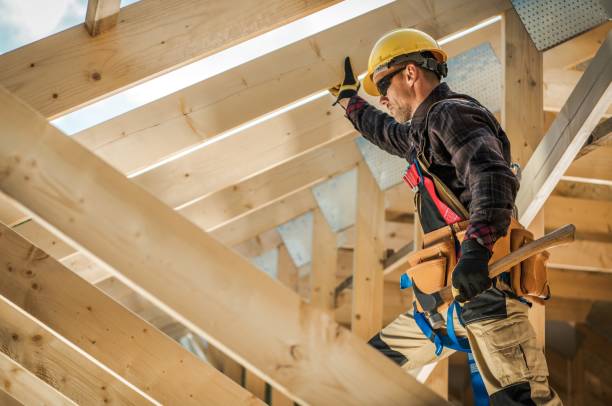 Best Roof Gutter Cleaning  in Rotan, TX