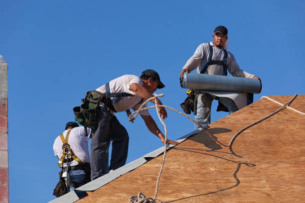 Best Roof Gutter Cleaning  in Rotan, TX